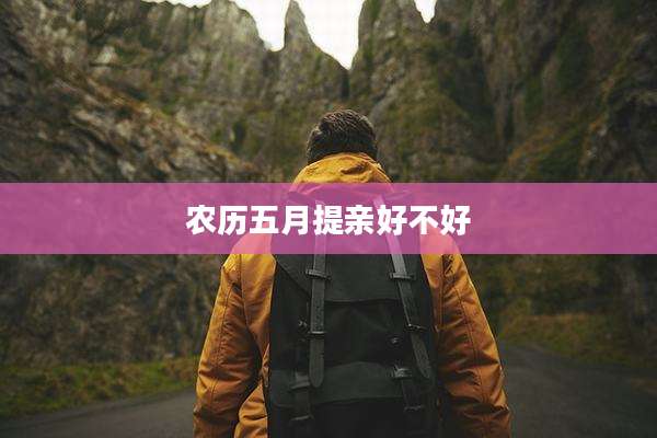 农历五月提亲好不好