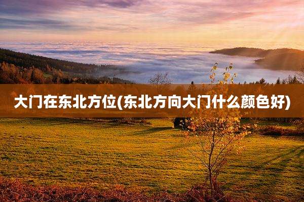 大门在东北方位(东北方向大门什么颜色好)