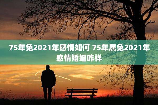 75年兔2021年感情如何 75年属兔2021年感情婚姻咋样