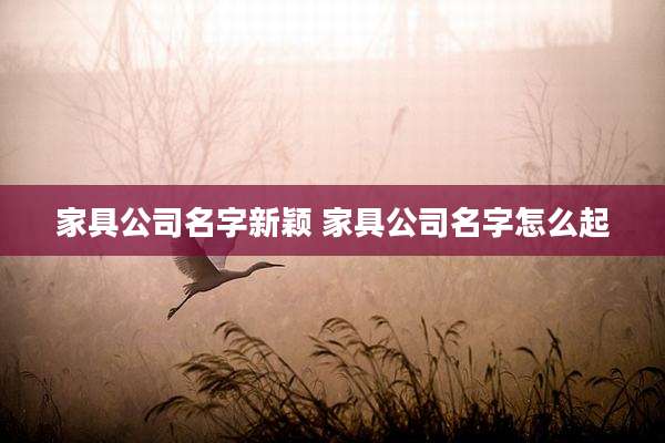 家具公司名字新颖 家具公司名字怎么起