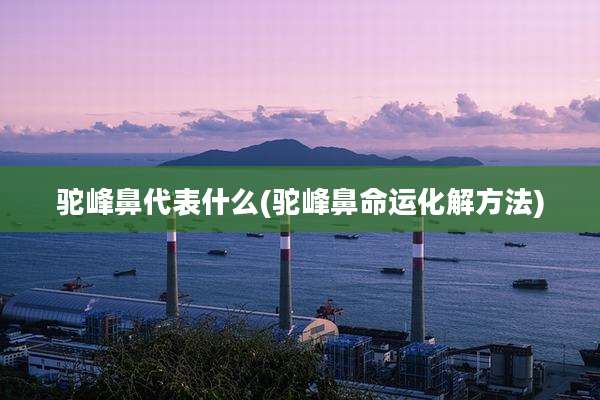 驼峰鼻代表什么(驼峰鼻命运化解方法)