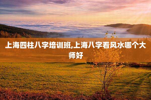 上海四柱八字培训班,上海八字看风水哪个大师好