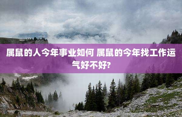 属鼠的人今年事业如何 属鼠的今年找工作运气好不好?