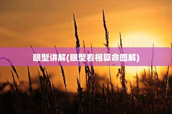 眼型讲解(眼型看相算命图解)