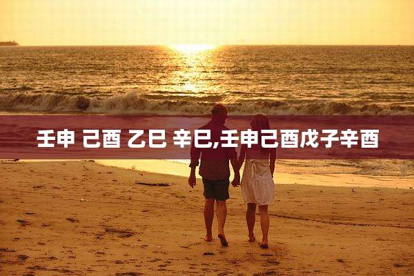 壬申 己酉 乙巳 辛巳,壬申己酉戊子辛酉