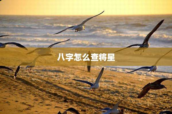 八字怎么查将星