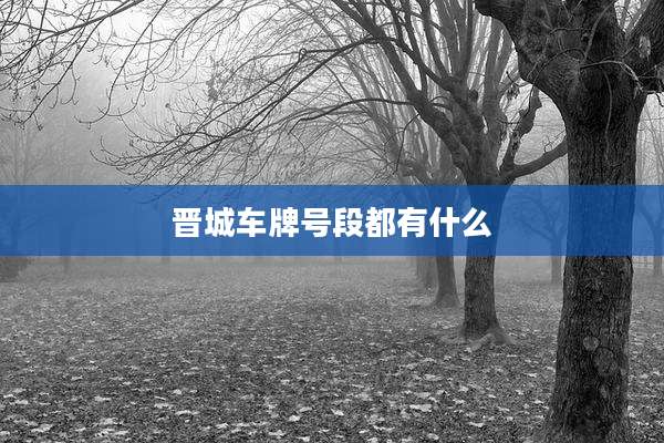 晋城车牌号段都有什么