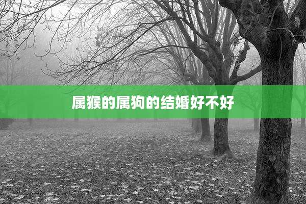 属猴的属狗的结婚好不好