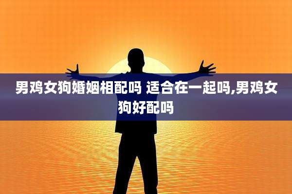 男鸡女狗婚姻相配吗 适合在一起吗,男鸡女狗好配吗