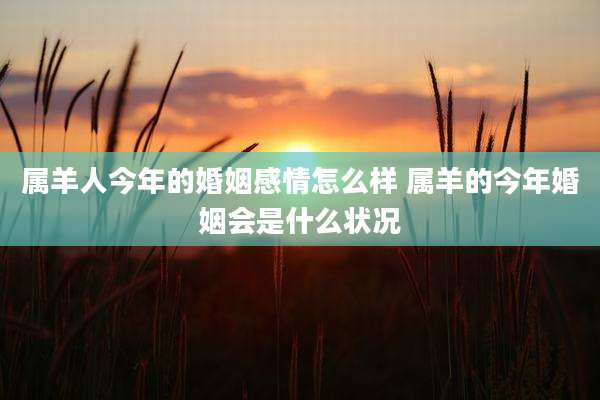 属羊人今年的婚姻感情怎么样 属羊的今年婚姻会是什么状况