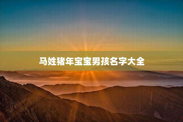 马姓猪年宝宝男孩名字大全