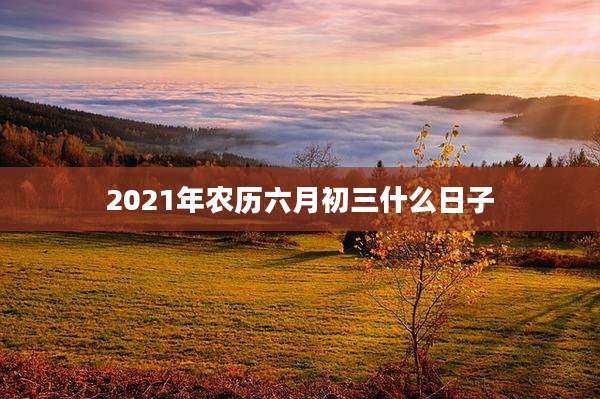2021年农历六月初三什么日子