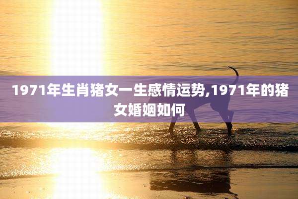 1971年生肖猪女一生感情运势,1971年的猪女婚姻如何