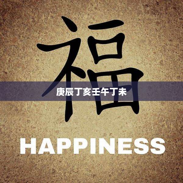 庚辰丁亥壬午丁未