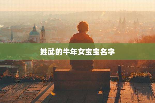 姓武的牛年女宝宝名字