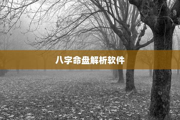 八字命盘解析软件