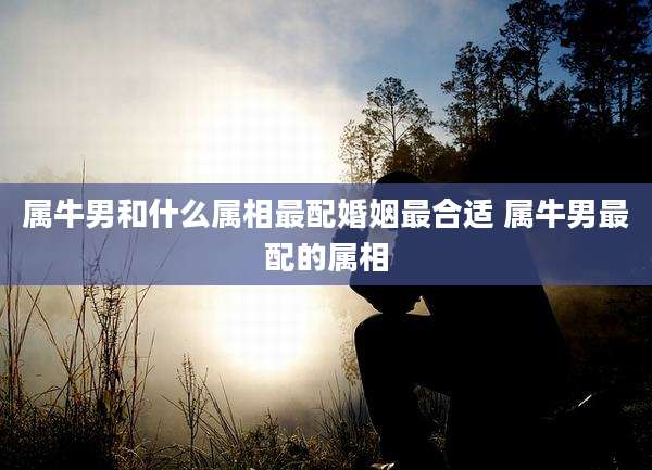 属牛男和什么属相最配婚姻最合适 属牛男最配的属相