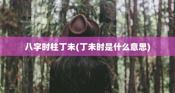 八字时柱丁未(丁未时是什么意思)