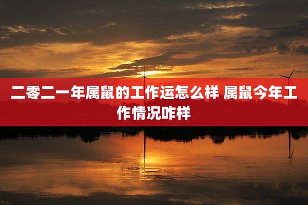 二零二一年属鼠的工作运怎么样 属鼠今年工作情况咋样