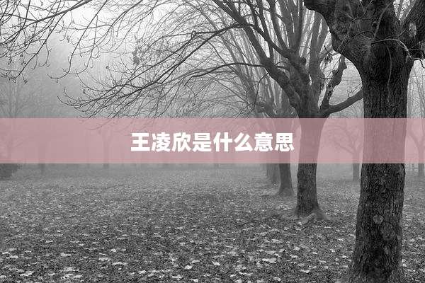 王凌欣是什么意思
