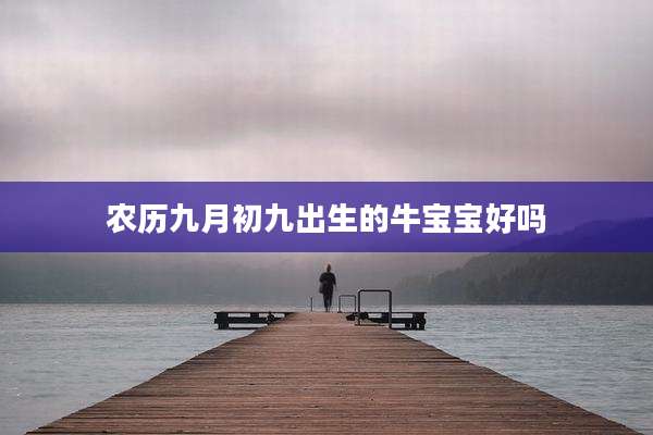 农历九月初九出生的牛宝宝好吗