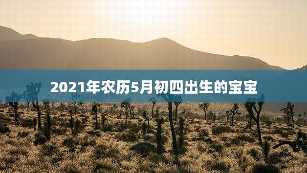 2021年农历5月初四出生的宝宝