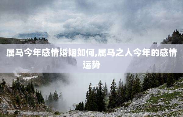 属马今年感情婚姻如何,属马之人今年的感情运势