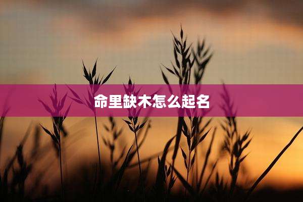 命里缺木怎么起名