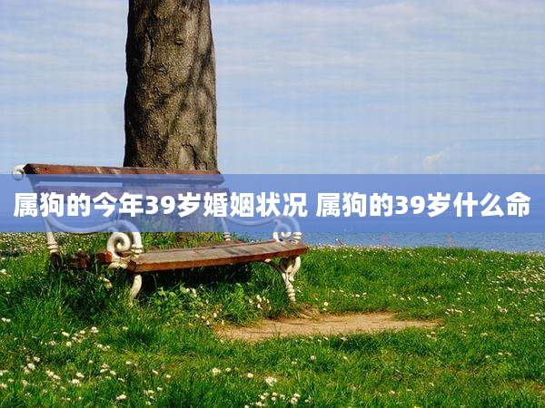 属狗的今年39岁婚姻状况 属狗的39岁什么命