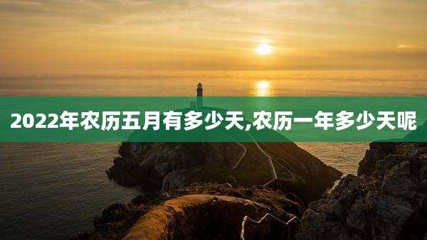 2022年农历五月有多少天,农历一年多少天呢