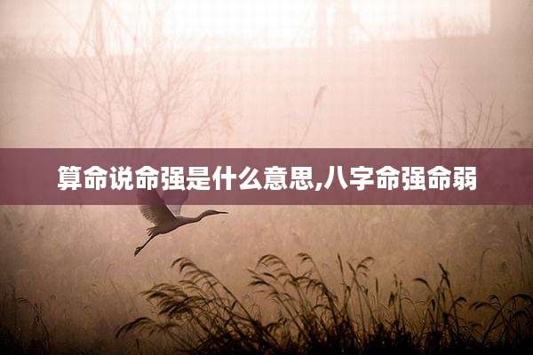 算命说命强是什么意思,八字命强命弱