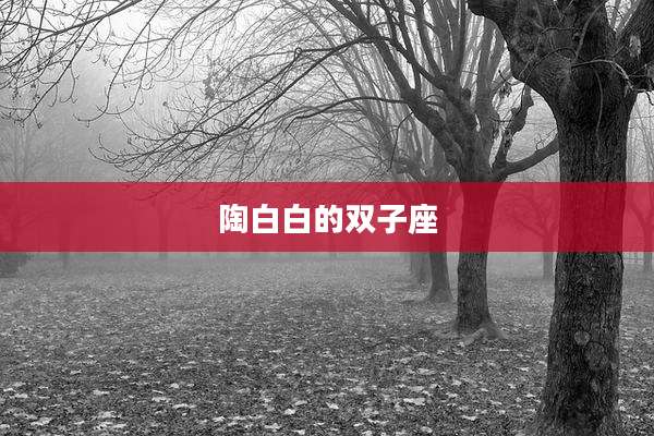 陶白白的双子座
