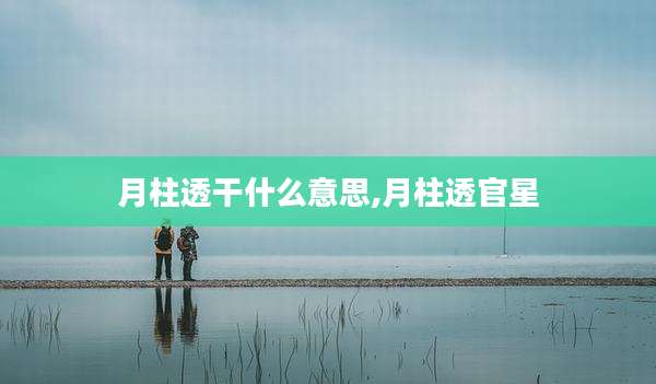 月柱透干什么意思,月柱透官星