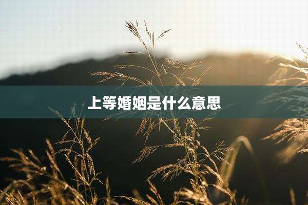 上等婚姻是什么意思
