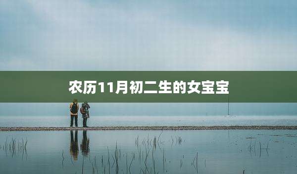 农历11月初二生的女宝宝