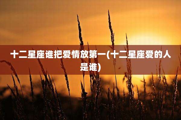 十二星座谁把爱情放第一(十二星座爱的人是谁)