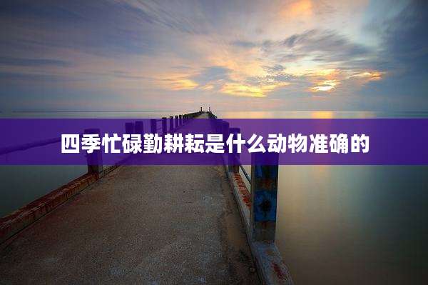 四季忙碌勤耕耘是什么动物准确的