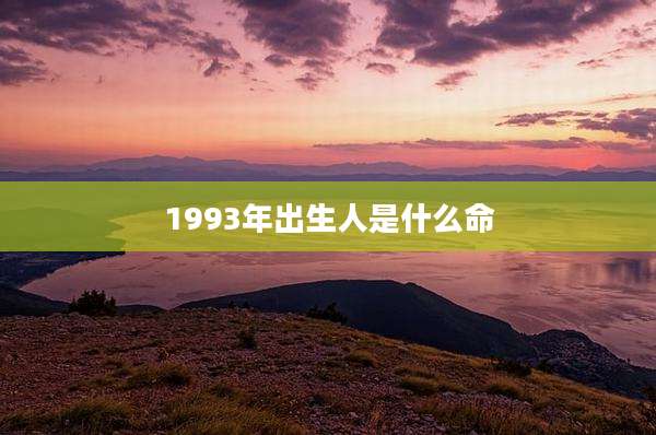 1993年出生人是什么命