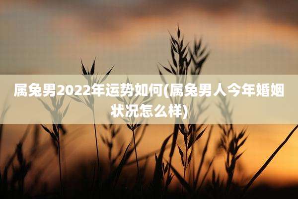 属兔男2022年运势如何(属兔男人今年婚姻状况怎么样)