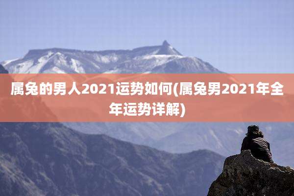 属兔的男人2021运势如何(属兔男2021年全年运势详解)