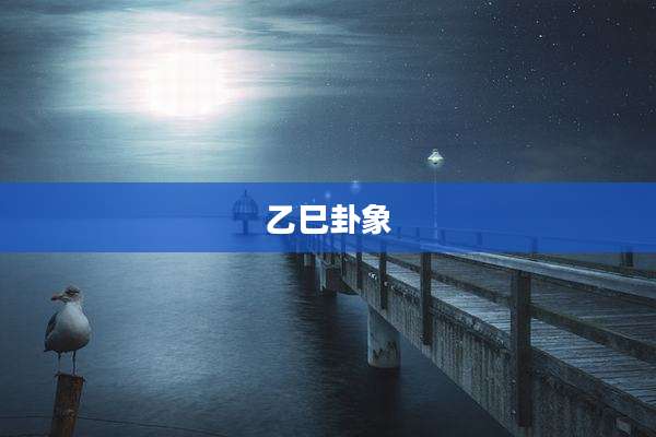 乙巳卦象