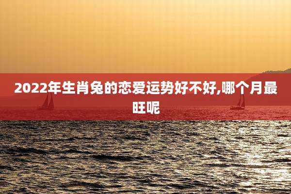 2022年生肖兔的恋爱运势好不好,哪个月最旺呢