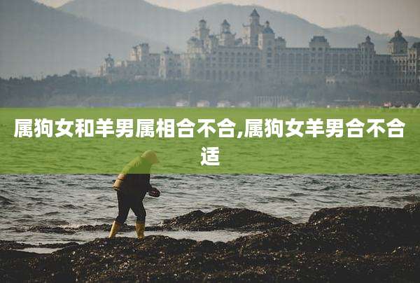属狗女和羊男属相合不合,属狗女羊男合不合适