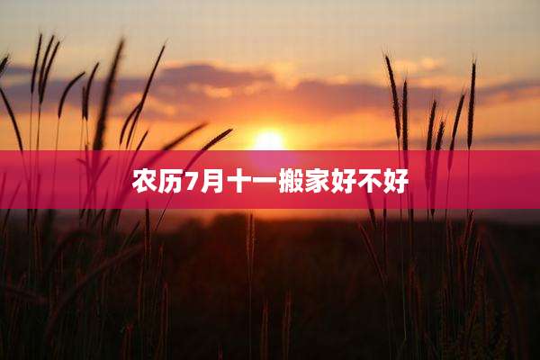 农历7月十一搬家好不好