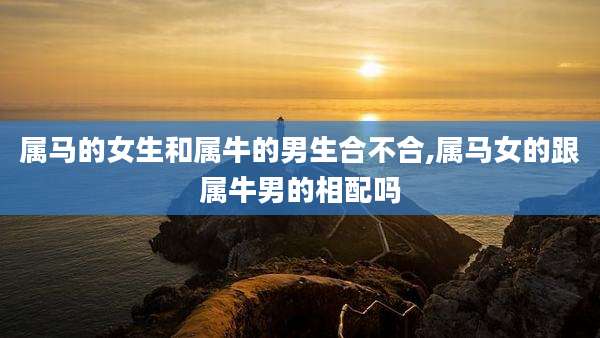 属马的女生和属牛的男生合不合,属马女的跟属牛男的相配吗