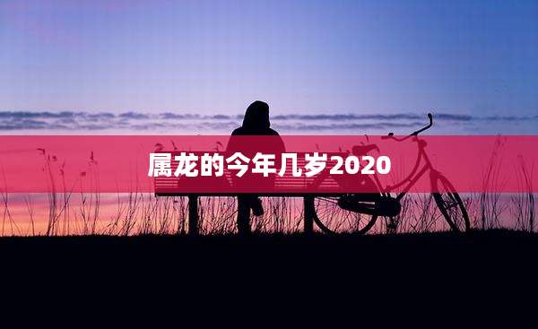 属龙的今年几岁2020