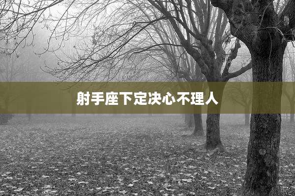 射手座下定决心不理人
