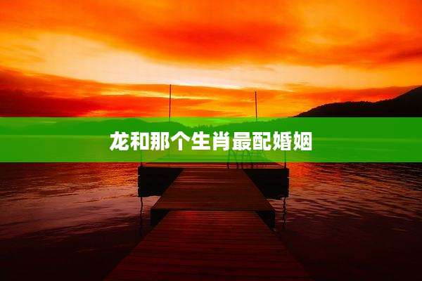 龙和那个生肖最配婚姻