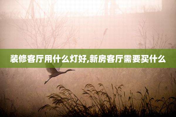 装修客厅用什么灯好,新房客厅需要买什么