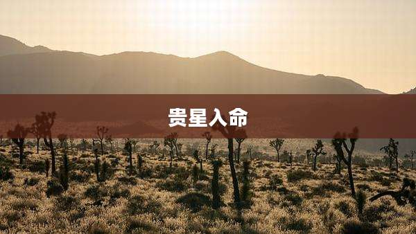 贵星入命